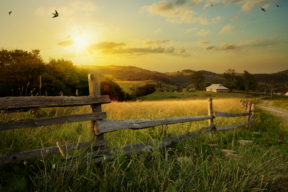 The Pros and Cons of Practicing Medicine in a Rural Setting