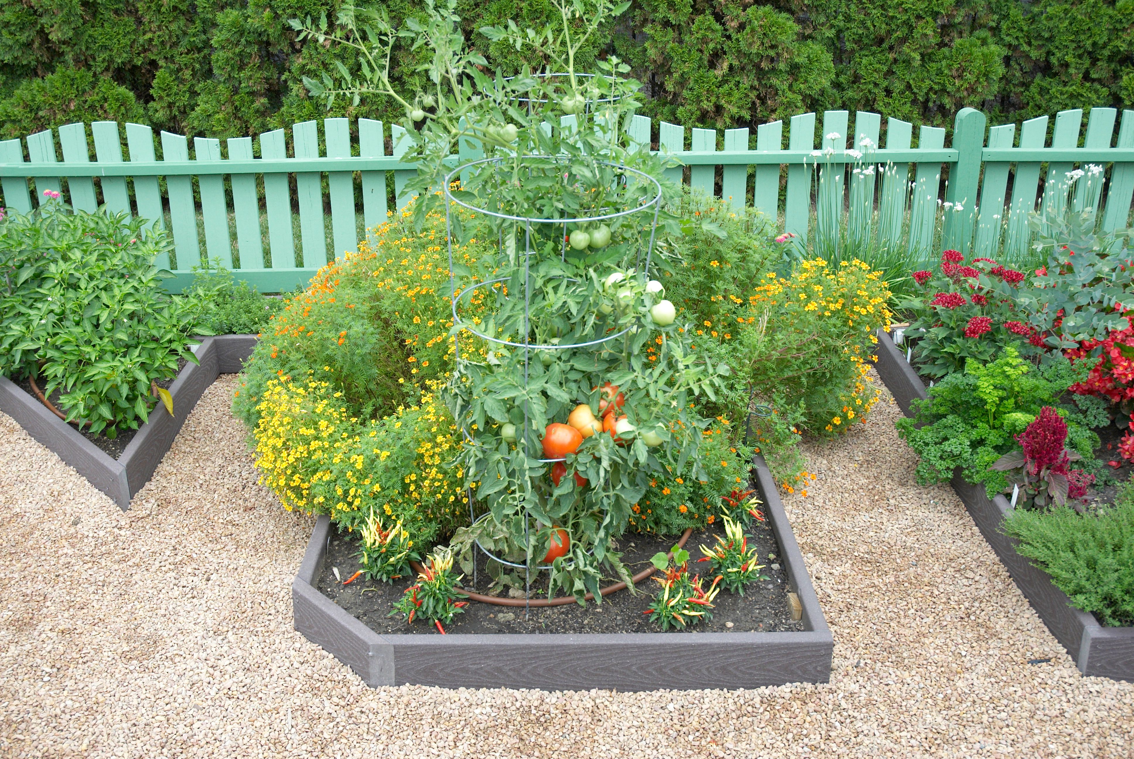 Gardening Is the Best Recession-Proof Hobby to Start Now