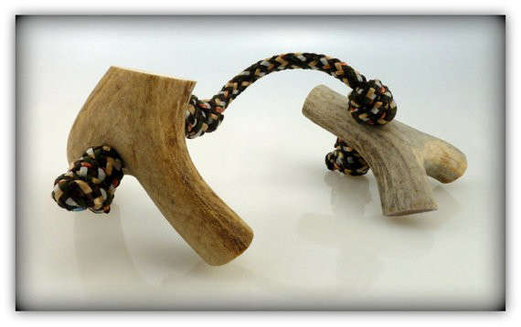 The Double Fork – Deer Antler Dog Chew Toy